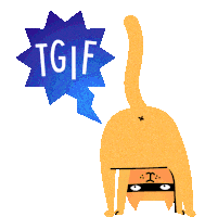 Cat Friday Sticker - Cat Friday Weekend Stickers