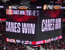 Canes Win Carolina Hurricanes GIF - Canes Win Carolina Hurricanes Hurricanes GIFs