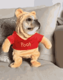 Dog Pooh GIF - Dog Pooh Cute GIFs