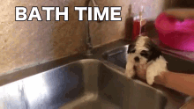 paningning takes a bath the real paningning paningning dog animal channel