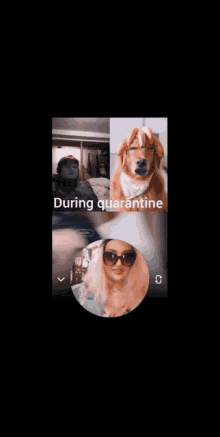 Snapchat During Quarantine GIF - Snapchat During Quarantine V Ideo Call GIFs