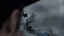 a person is holding a gun in their hand and pointing it at something .