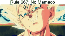 Rule667 No Mamaco GIF - Rule667 No Mamaco GIFs