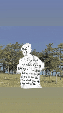 a silhouette of a person with trees in the background and a foreign language written on it