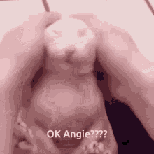 Angie Cat GIF - Angie Cat GIFs