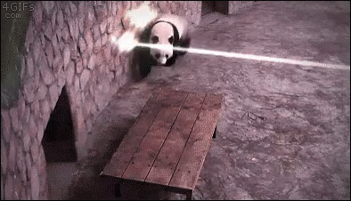 panda-laser.gif