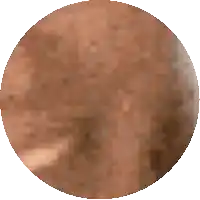 a pixelated image of a brown and white circle with a white background