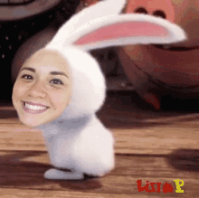 Rabbit Shake It GIF - Rabbit Shake It Bunny Hop GIFs