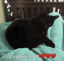 Pepper Cat Pepper Edit GIF - Pepper Cat Pepper Edit Mimi GIFs