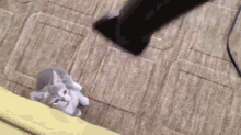 Attack Of The Killer Hair Dryers GIF - Cat Attack Scared GIFs