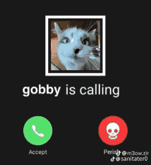 Gobby Is Calling GIF - Gobby Is Calling GIFs