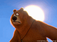 a grizzly bear with a necklace around his neck is standing in front of the sun