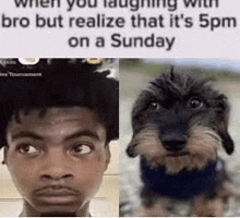 a man and a dog are laughing with bro but realize that it 's 5pm on a sunday .
