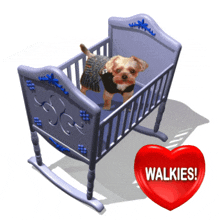 Walkies Take Dog For A Walk GIF - Walkies Take Dog For A Walk Dog In Cot GIFs