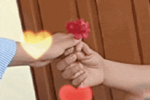 a person is holding a red flower in their hands