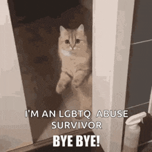 Gay Non Profits Gay Native American GIF