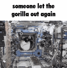Iss Space GIF - Iss Space Gorilla GIFs