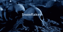 Snowflake Terminator GIF - Snowflake Terminator Skull GIFs