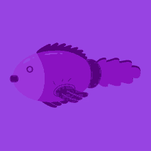 Fish Purple Fish GIF - Fish Purple Fish Sea Creature GIFs
