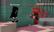 a girl standing next to a red minecraft character with the name deftones on it