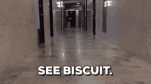 Buitch Biscuit GIF - Buitch Biscuit See GIFs