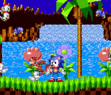 What Sonic GIF - What Sonic Videogames GIFs