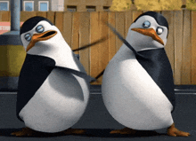 Penguins Pingki Penguin GIF - Penguins Penguin Pingki Penguin GIFs