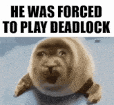 a seal with a funny face and the words `` he was forced to play deadlock ''