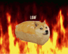 Doge Loaf GIF