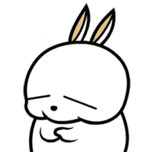mashi maro rabbit