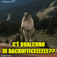 Roma Backoffice GIF - Roma Backoffice GIFs