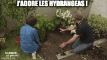 Hydrangeas Silenceça Pousse GIF - Hydrangeas Silenceça Pousse Stéphane Marie GIFs