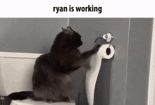 a cat is sitting on top of a toilet holding a roll of toilet paper