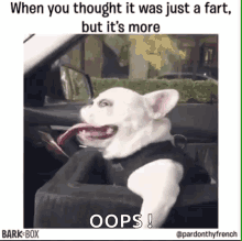 Dog Fart GIF - Dog Fart Funny GIFs