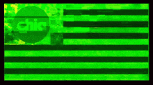 a green and black striped background with a circle in the middle that says chica