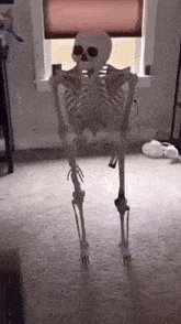 Skeletoncrazy GIF - Skeletoncrazy GIFs
