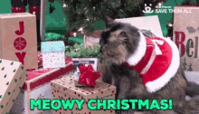 Meowy Catmas Cats GIF - Meowy Catmas Cats Christmas GIFs