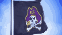 Ecu East Carolina Pirates GIF