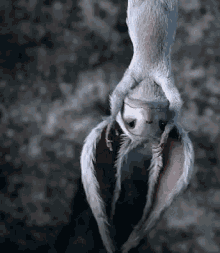 Hanging Out GIF - Hanging Out GIFs