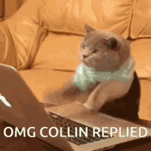 Collin Replied GIF - Collin Replied Text GIFs