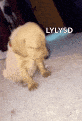 So Tired GIF - So Tired Oops GIFs
