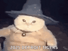 a cat wearing a wizard hat and a scarecrow costume is sitting on a couch .