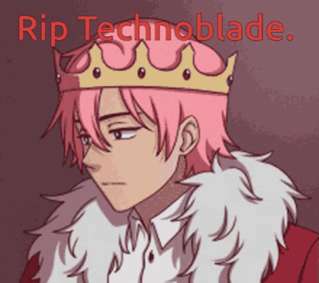 long live the king of Minecraft, Technoblade never dies. R.I.P : r/ Technoblade