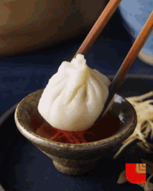 Dumpling Food Porn GIF - Dumpling Food Porn Chinese Food GIFs