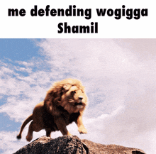a lion standing on top of a rock with the words " me defending wogigga shamil " below it