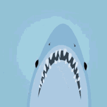 Yeah Shark GIF - Yeah Shark Yes GIFs