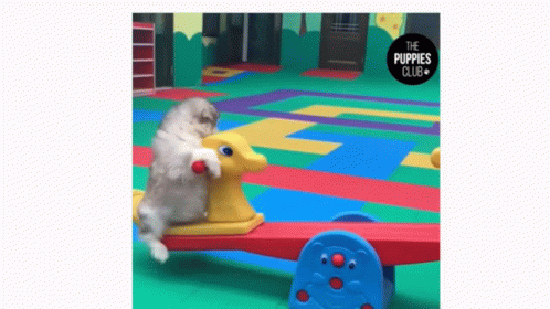 Cute Rick Roll GIF - Cute Rick Roll Dogs - Discover & Share GIFs