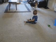 You Think You Can Mess With Me, Kid?! GIF - Dog Excited Run GIFs