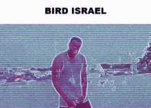 Bird Is Real GIF - Bird Is Real Israel GIFs