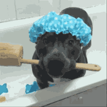 Dog Pitbull GIF - Dog Pitbull Bath GIFs